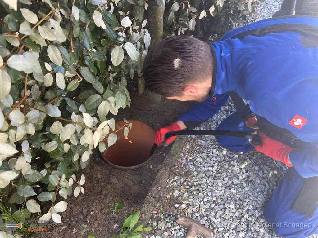 Rioolvliegjes Schagen